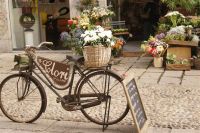 Flower shop in Milan